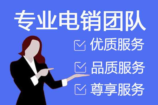 北京飞鸟客服外包
